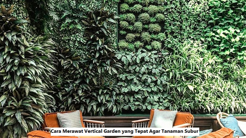 Cara Merawat Vertical Garden